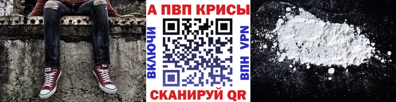 A PVP СК  Самара 
